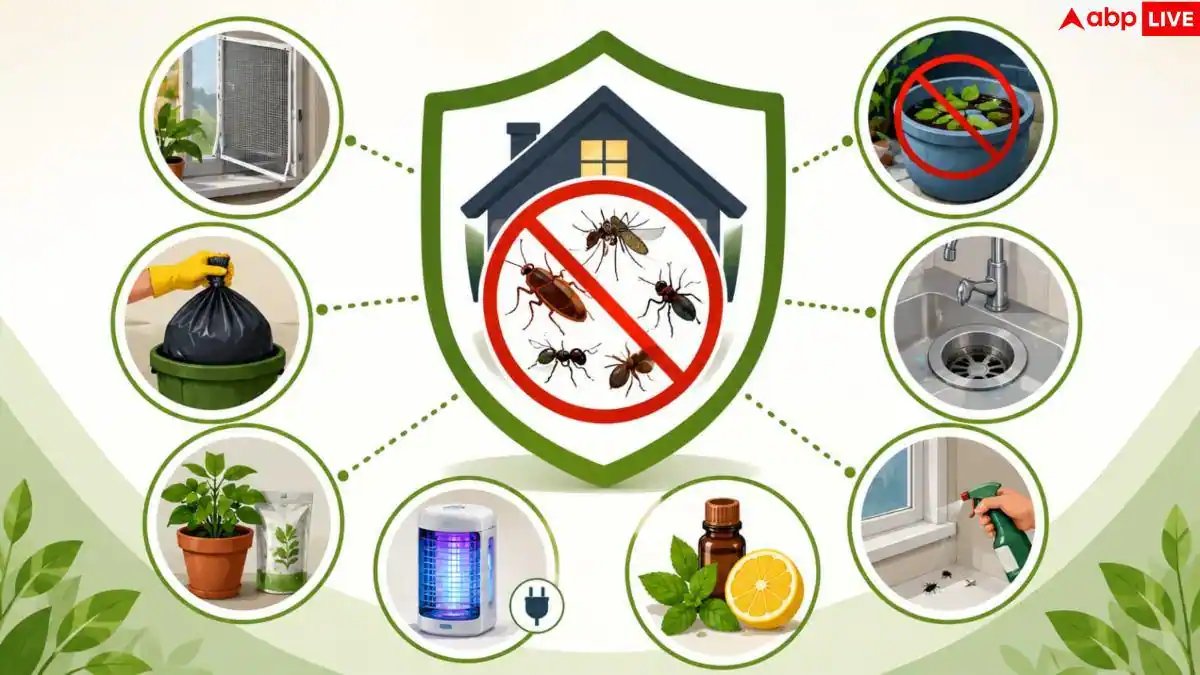 How To Keep Bugs Away: लाइट जलते ही घर में आते कीड़े? अपनाएं यह आसान ट्रिक