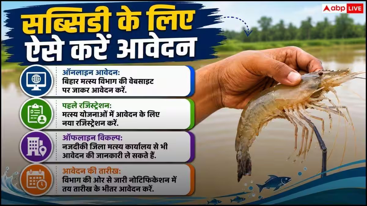झींगा खेती पर मिलेगी बंपर सब्सिडी, ऐसे करें अप्लाई