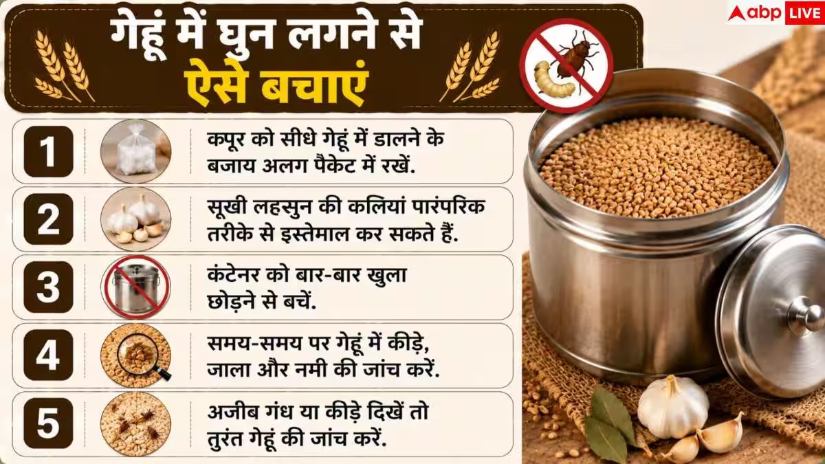 How To Store Wheat: गेहूं में नहीं लगेगा घुन! सालभर स्टोर करने के लिए अपनाएं ये देसी हैक्स