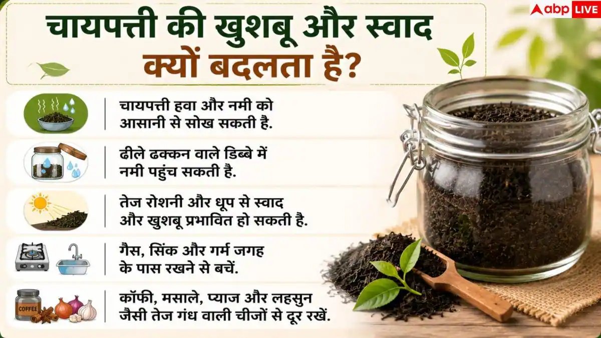 डिब्बा बंद होने पर भी खराब हो जाती है चायपत्ती? ऐसे रखें फ्रेश