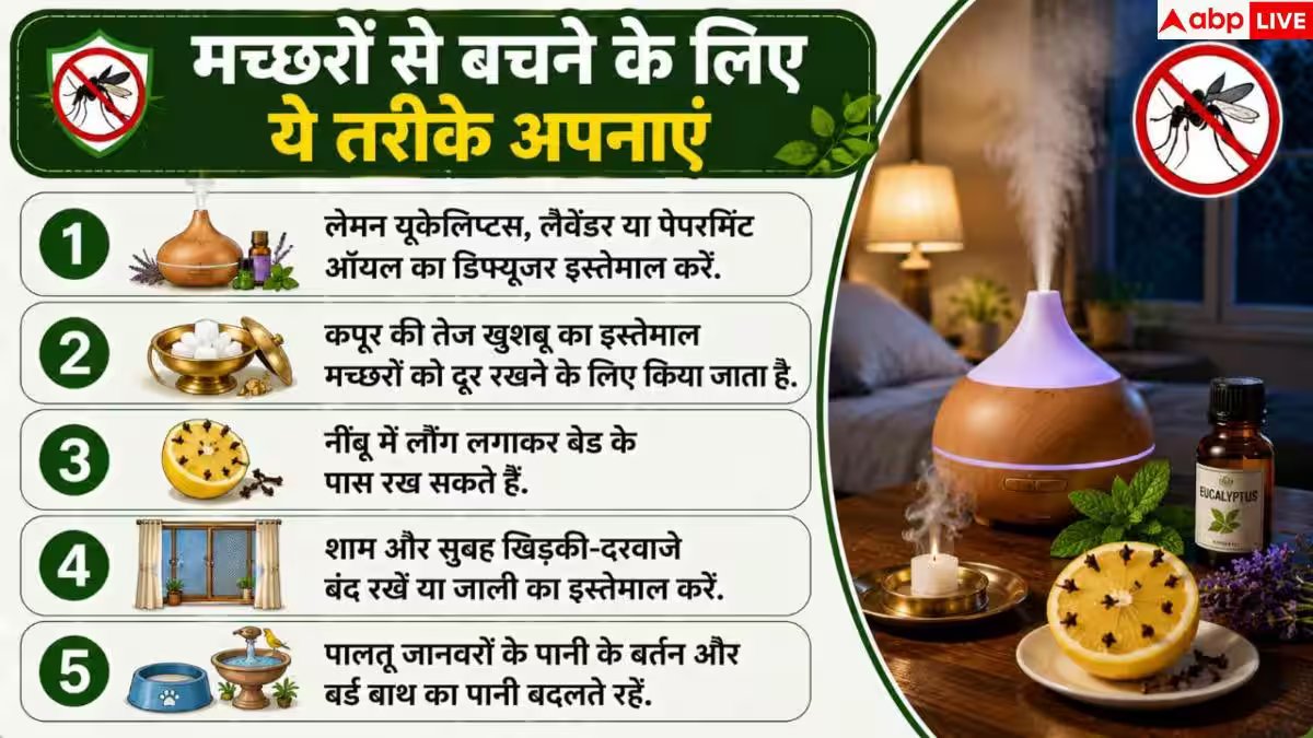 How To Prevent Mosquitoes At Night: मच्छरों ने उड़ा रखी है नींद? बिना कॉइल 2 मिनट में ऐसे भगाएं बाहर