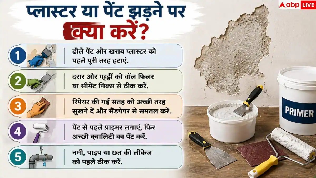 Wall Repair Tips: दीवार से झड़ने लगा है प्लास्टर और पेंट? 1 आसान तरीके से करें ठीक