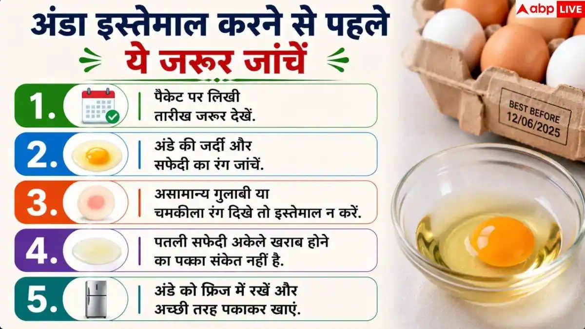 How To Check Egg Quality: अंडा ताजा है या सड़ चुका है? तुरंत जानें खराब है या नहीं