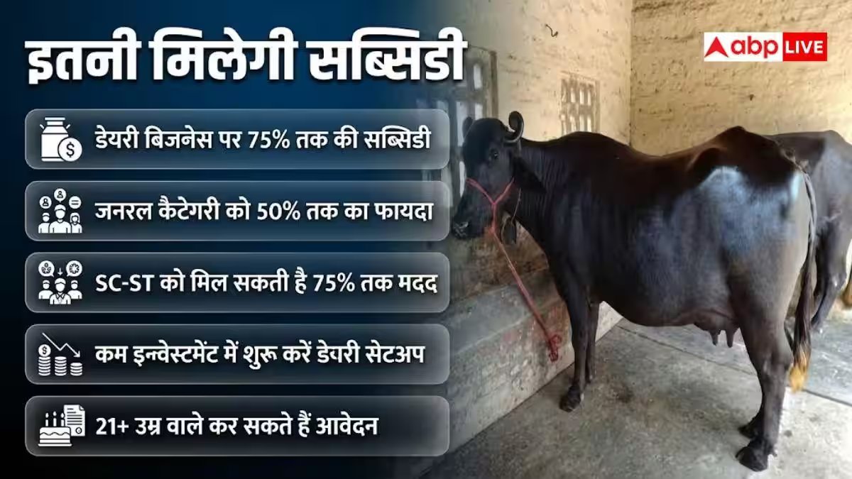 मुर्रा भैंस खरीदने पर 75% पैसा देगी सरकार, शुरू कीजिए डेयरी का बिजनेस