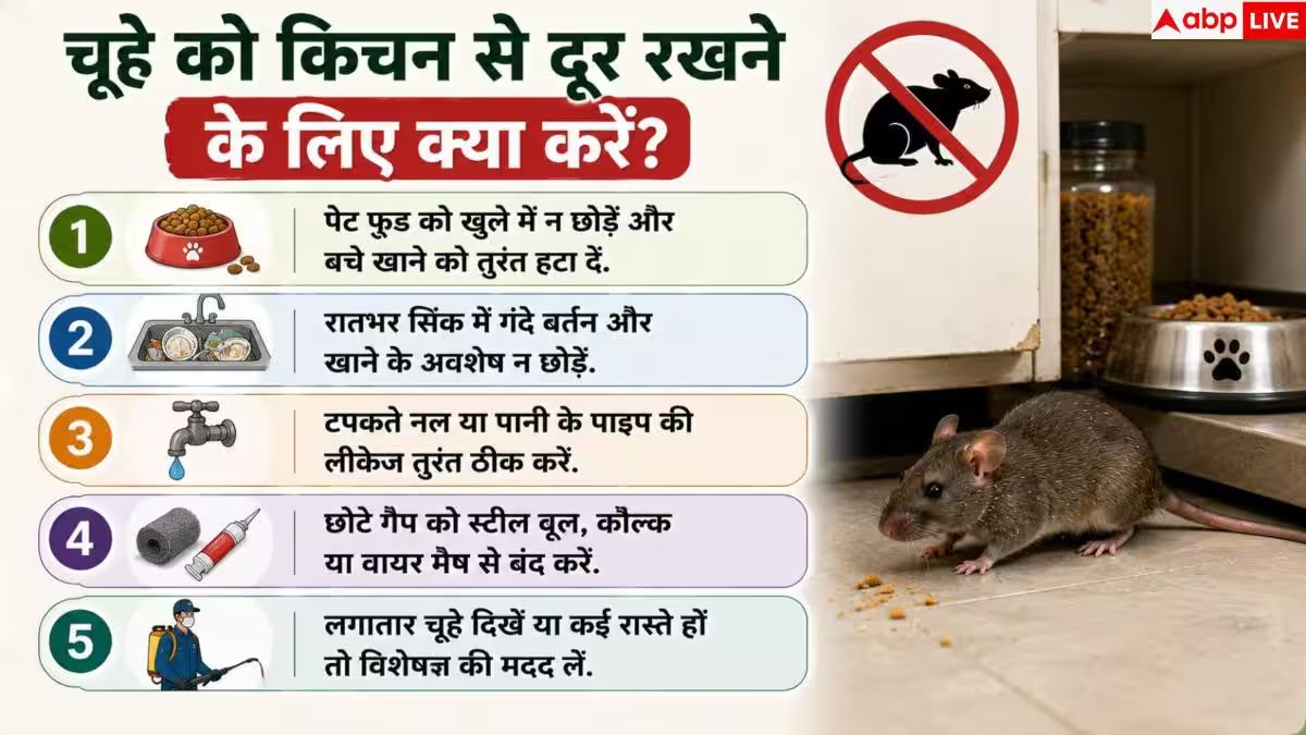 Rat Prevention Tips: किचन में चूहों के आतंक से हैं परेशान? ऐसे हमेशा के लिए करें सफाया