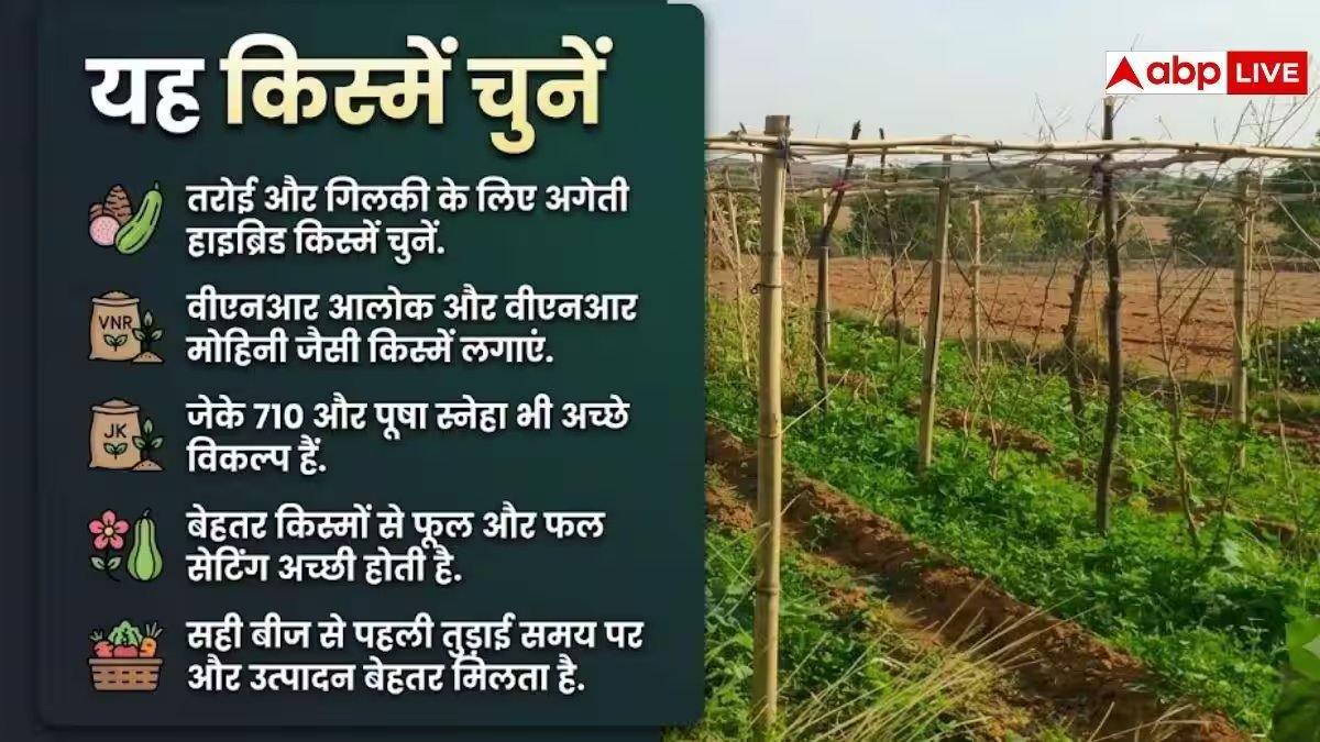 अगस्त में बोएं ये सब्जी, सितंबर में होगी अच्छी कमाई