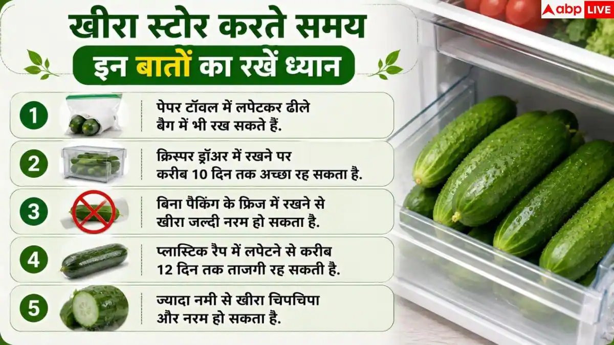 Cucumber Storage Tips: फ्रिज में नरम पड़ जाता है खीरा? 1 आसान ट्रिक से 20 दिन रखें फ्रेश