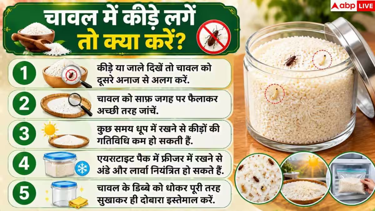 How To Remove Rice Insects: चावल में दिखने लगे हैं जाले जैसे धागे? 1 आसान हैक से करें साफ