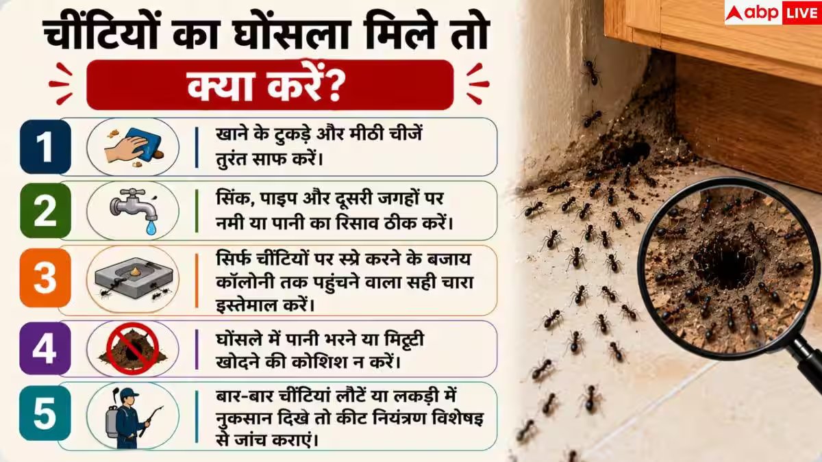 Pest Control: घर में बार-बार आ जाती हैं चींटियां? ऐसे करें सफाया