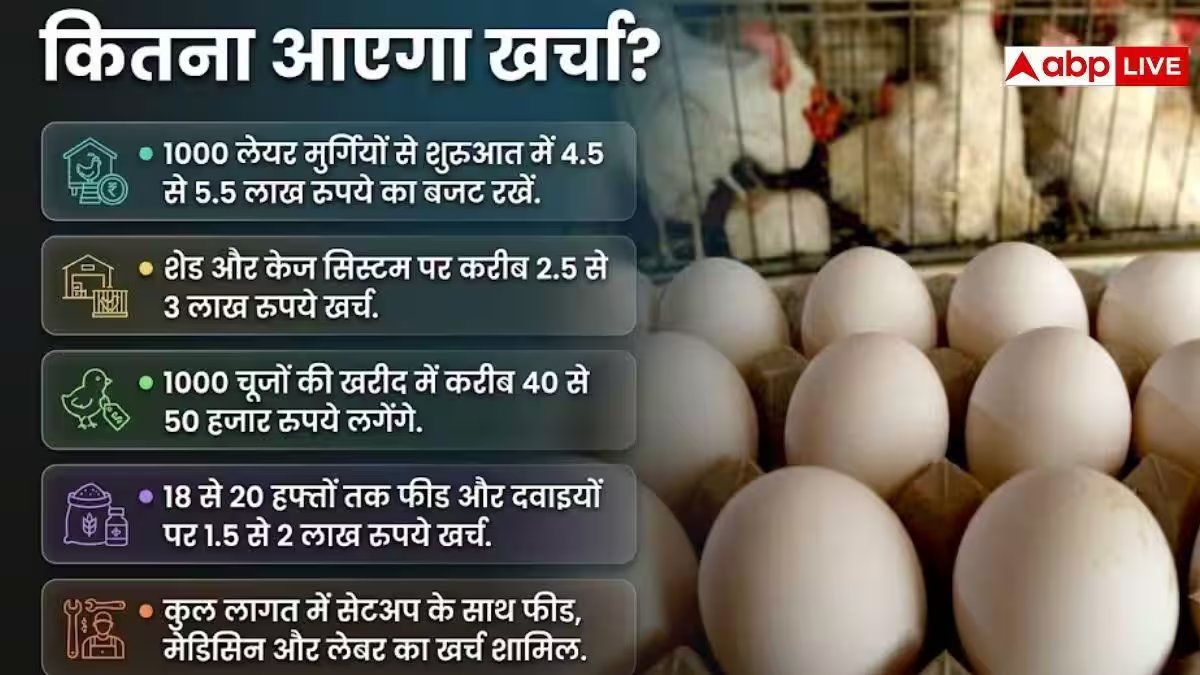 अपने फार्म हाउस पर कैसे करें अंडा फार्मिंग, कितना आएगा खर्च?