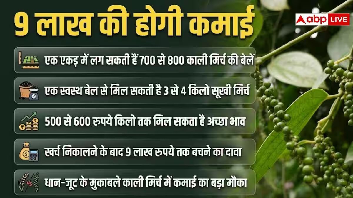 धान-जूट छोड़ करें इस चीज की खेती, हर साल होगी 9 लाख की कमाई
