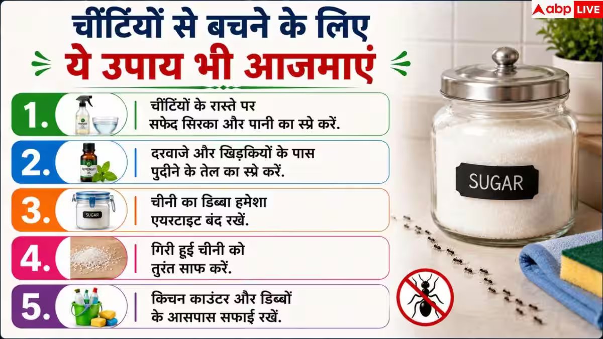 How To Get Rid Of Ants In Kitchen: चीनी के डिब्बे में घुस जाती हैं चींटियां? इस आसान हैक से भगाएं