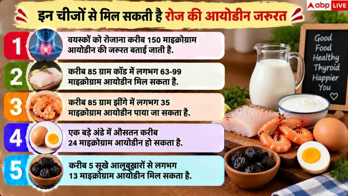 Iodine Rich Foods: नमक के अलावा किन चीजों से पूरा होता है आयोडीन का कोटा? जान लें जवाब