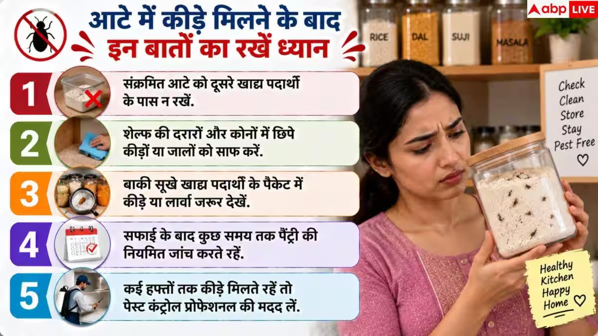 Flour Bugs: आटे में कीड़े और घुन से हैं परेशान? 1 ट्रिक से पाएं छुटकारा