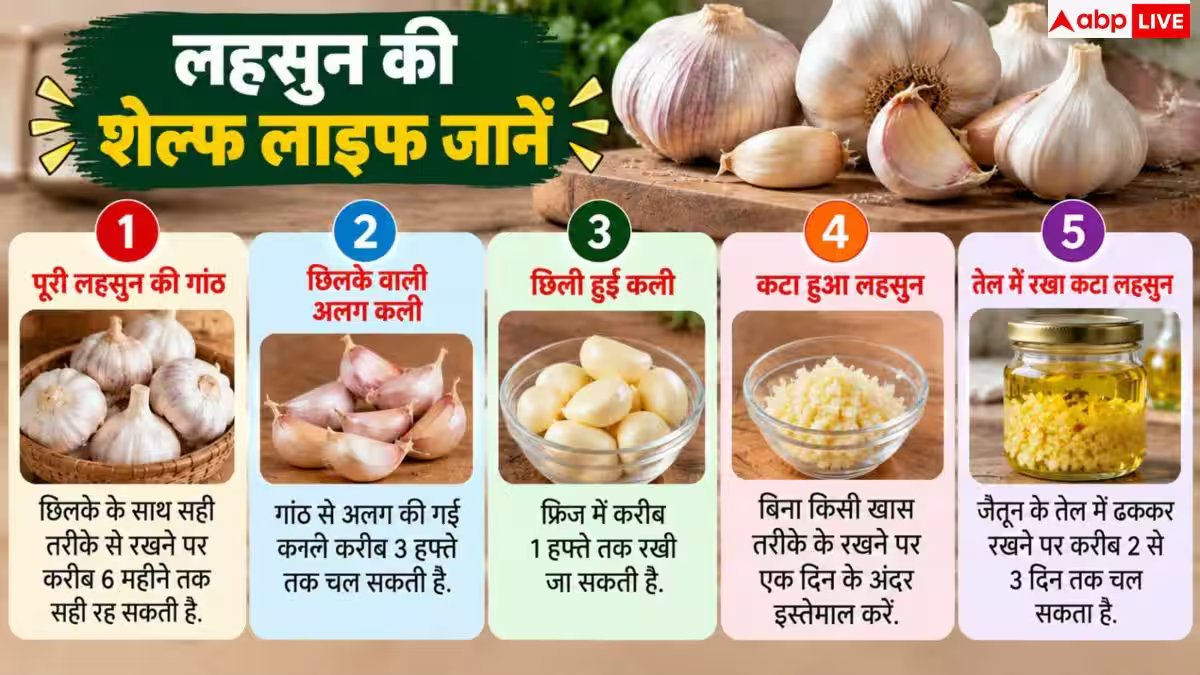 How To Store Garlic: लहसुन कितने दिन तक सही रहता है? जानें इसकी एक्सपायरी डेट