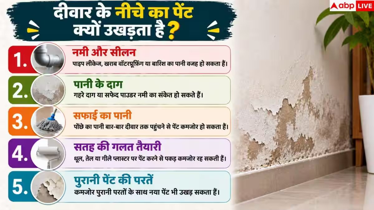 Wall Paint: पेंट फूलकर पपड़ी बनकर गिर रहा है? तुरंत अपनाएं ये उपाय