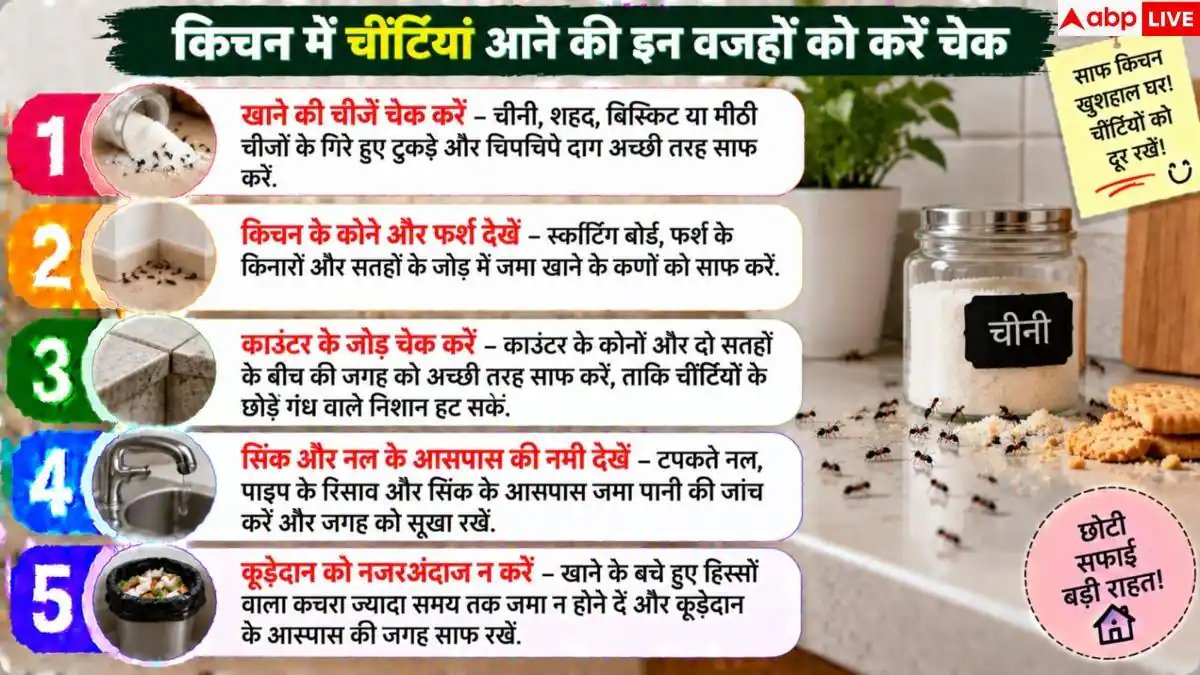 How To Get Rid Of Ants: किचन में बार बार आ रहीं चींटियां, इन जगहों को करें चेक