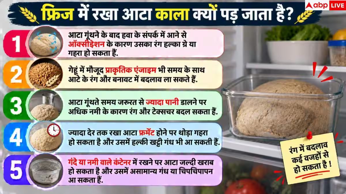 Atta Dough: फ्रिज में आटा काला पड़ क्यों हो जाता है, जानें फ्रेश रखने का सही तरीका