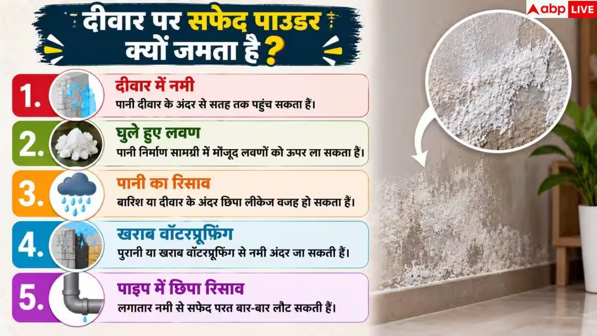 White Powder On Walls: दीवार पर जम गया है सफेद पाउडर? तुरंत जान लें सीलन की असली वजह