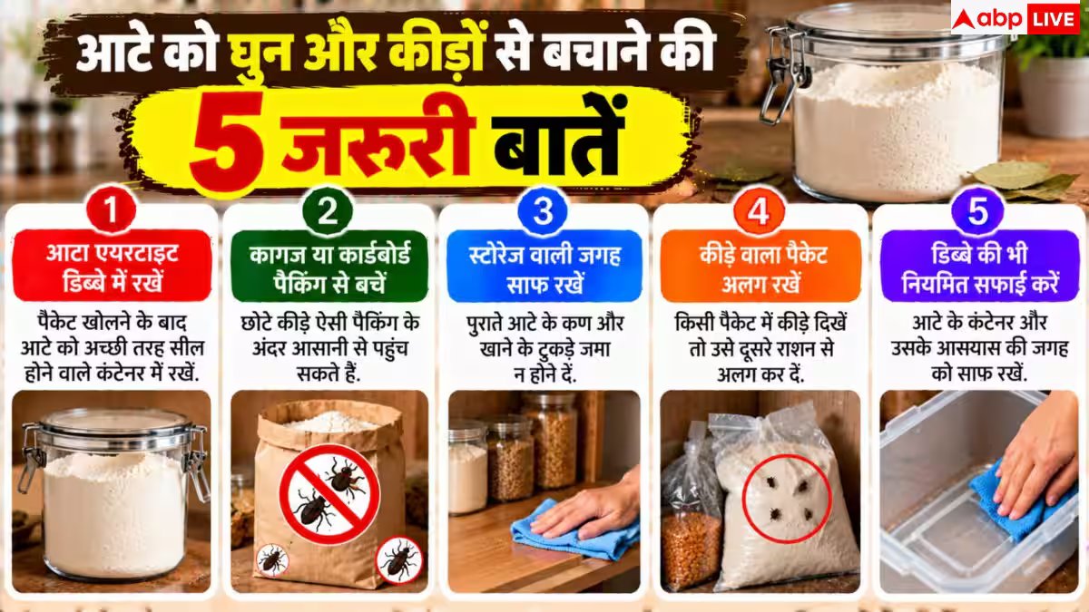 Flour Storage Tips: आटे के डिब्बे में डाल दीजिए ये चीज, महीनों तक नहीं लगेंगे घुन और कीड़े