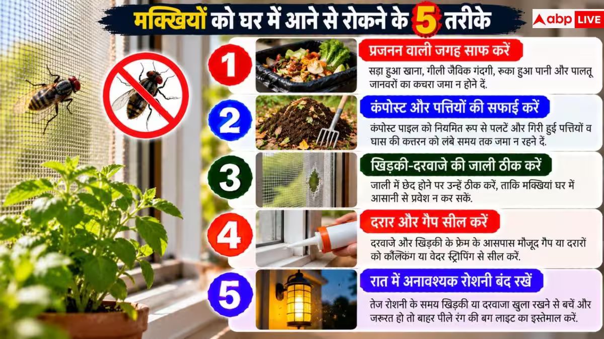 House Flies: क्या घर में बढ़ गई हैं बहुत मक्खियां? भगाने का ये देसी नुस्खा करें नोट