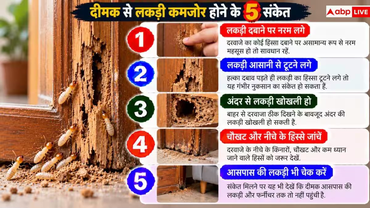 Early Signs Of Termites: लकड़ी का दरवाजा खा रही है दीमक? नोट करें पहचान के 5 शुरुआती संकेत