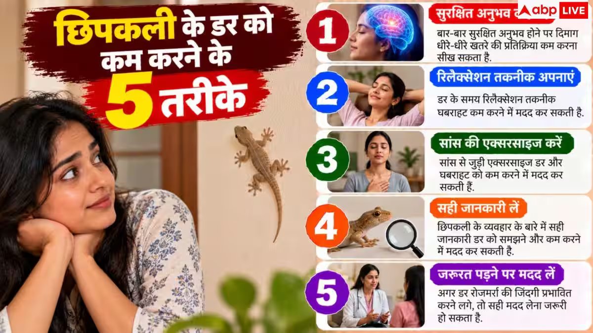 Why Girls Fear Lizards: आखिर लड़कियां छिपकली से इतना डरती क्यों हैं? खुल गया राज