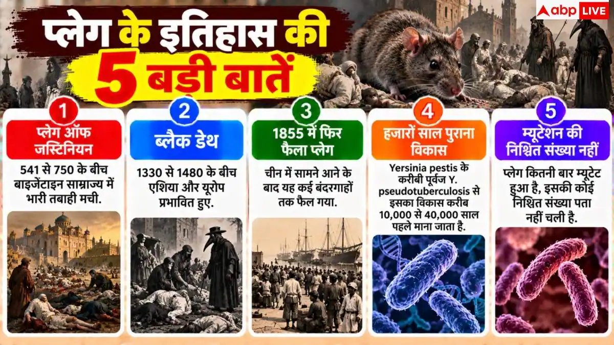 Plague Bacteria: कितने कम तापमान पर भी जिंदा रहता है प्लेग का वायरस, कितनी बार हुआ म्यूटेट?