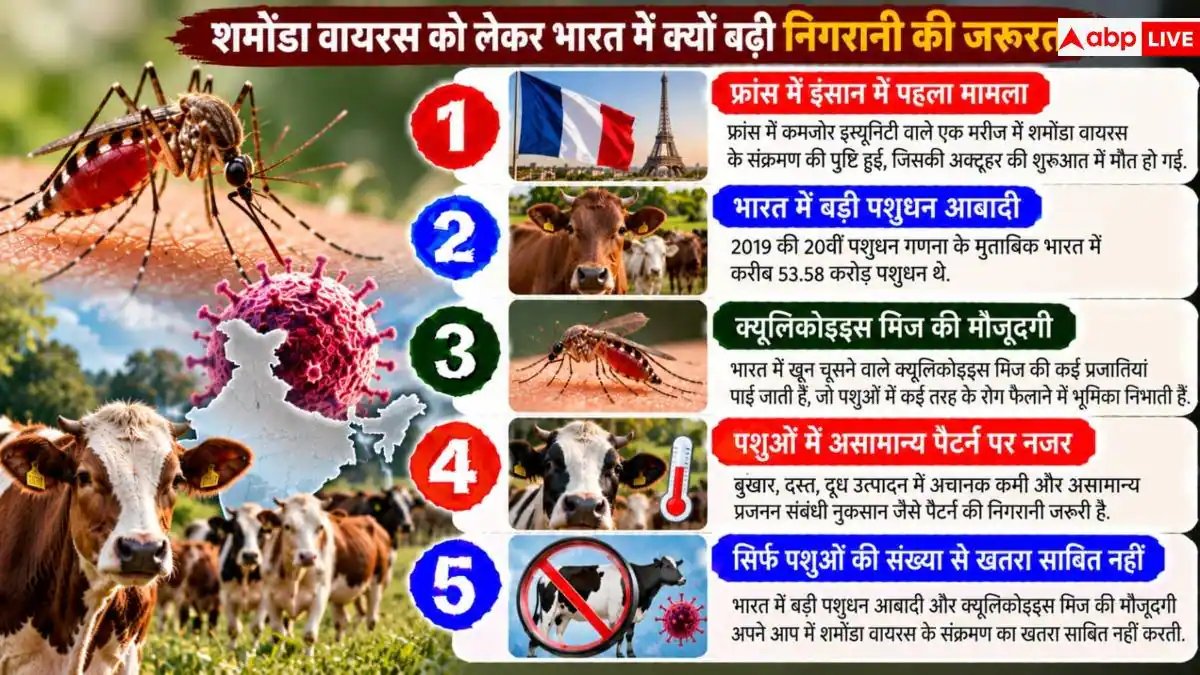 Shamonda Virus: फ्रांस में फैला शमोंडा वायरस, भारत के लिए कितना बड़ा खतरा