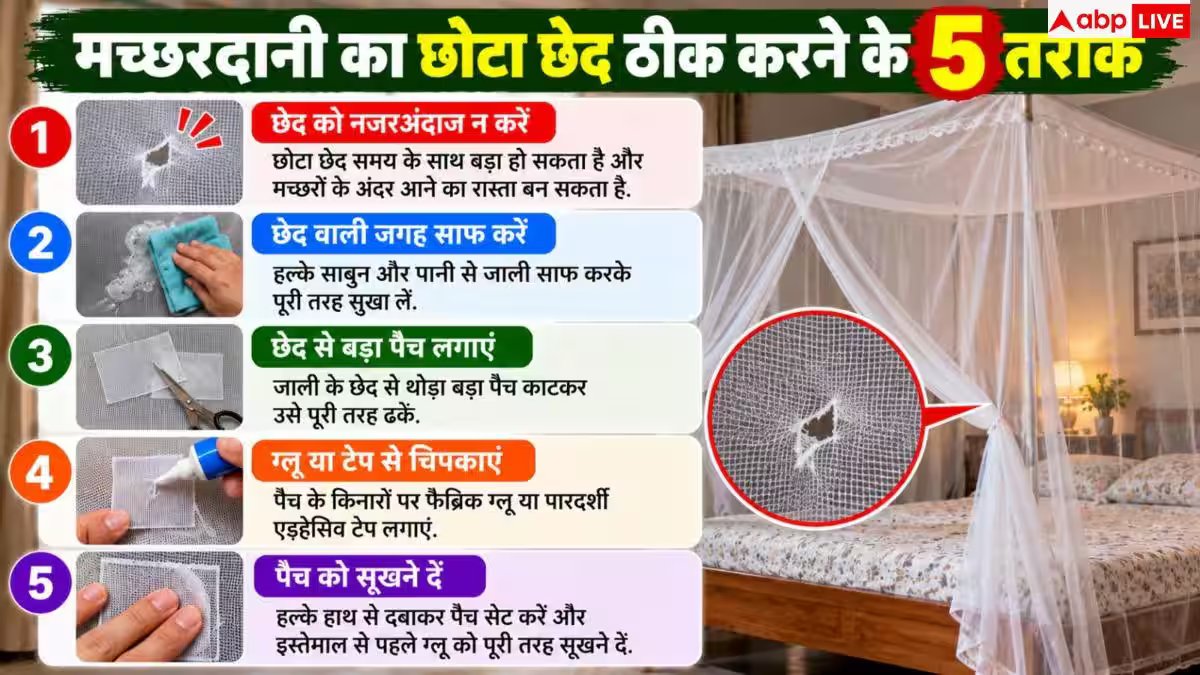 Mosquito Net Repair: क्या मच्छरदानी में बन गया छेद? नोट करें घर पर ठीक करने के हैक्स