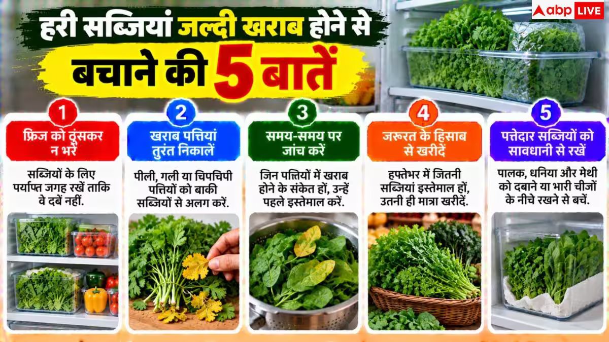 Vegetable Storage Tips: हरी सब्जियां हफ्तों रहेंगी ताजी! फ्रिज में रखने से पहले करें ये काम