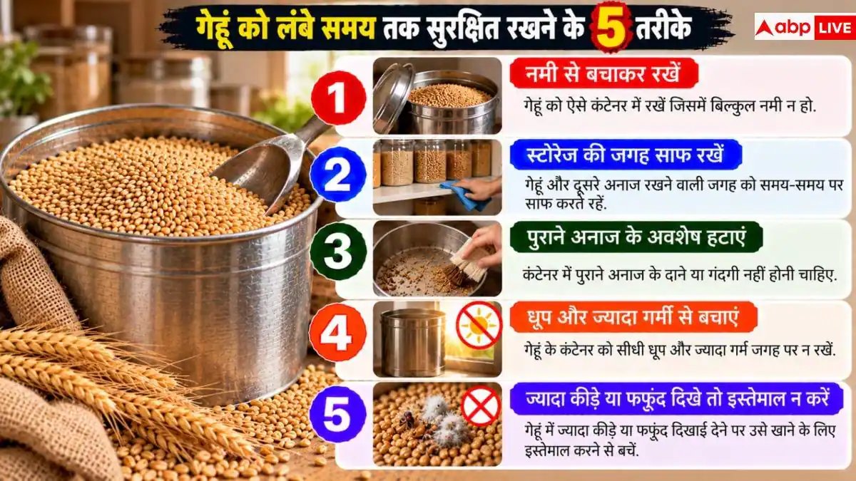 Wheat Storage Tips: क्या रखे-रखे गेहूं में पड़ जाता है घुन? नोट करें 4 आसान उपाय