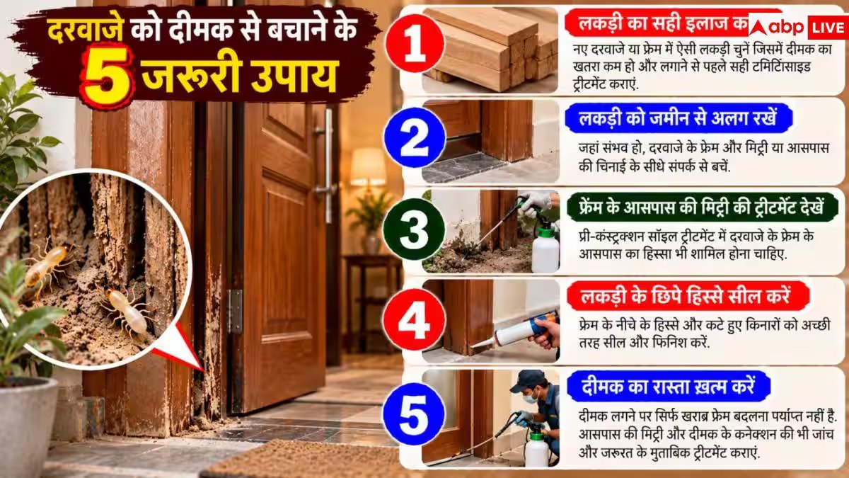 Termite Protection For Doors: दरवाजों पर पेंट करने से पहले जरूर करें ये काम, कभी नहीं लगेगी दीमक