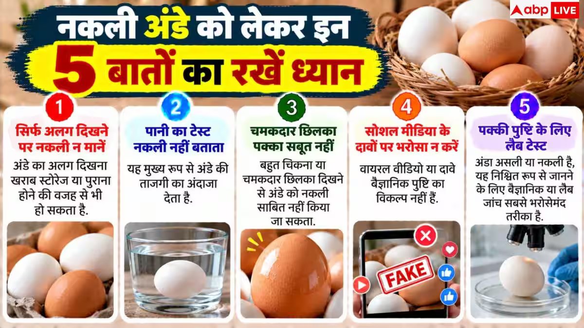 Real Egg Identification: असली और नकली अंडे की पहचान कैसे करें? नोट करें 2 मिनट का टेस्ट